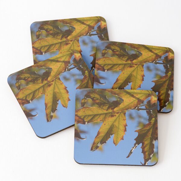 Item preview, Fall Foliage in Jerusalem designed and sold by DanaLauraPhoto.