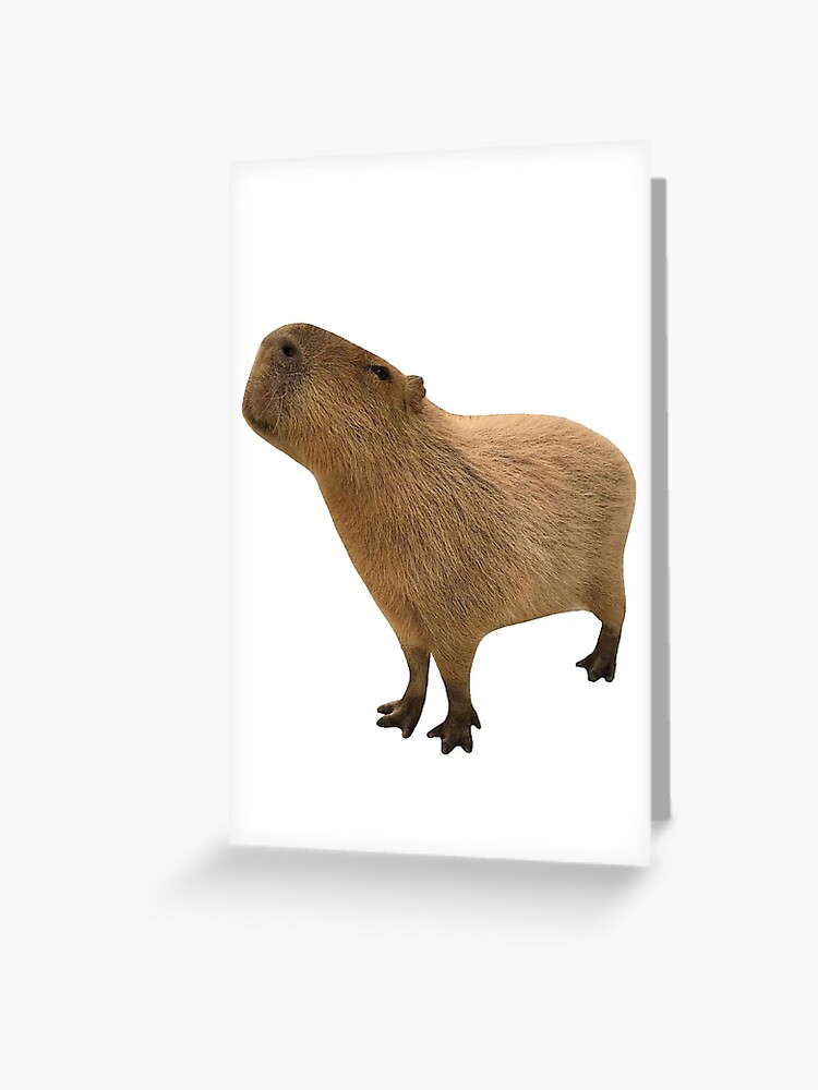 Capybara Keychain, Unimpressed Capybara Keychain, Cute Animal Keychain,  Rodent Lover Keychain, Weird Keychain, Original Keychain
