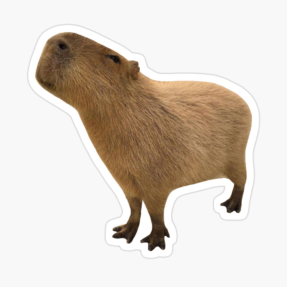 Capybara kawaii stickers. 10 png stickers design