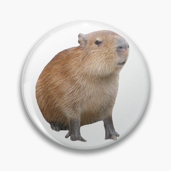 Aperçu de l'œuvre Adorable capybara créée et vendue par Mino Shop.