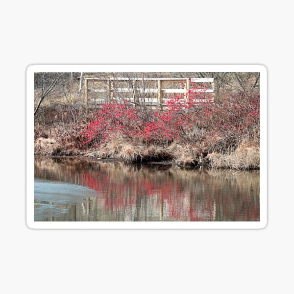Item preview, So long January, thank you for being so gentle this year designed and sold by Linda Crockett.