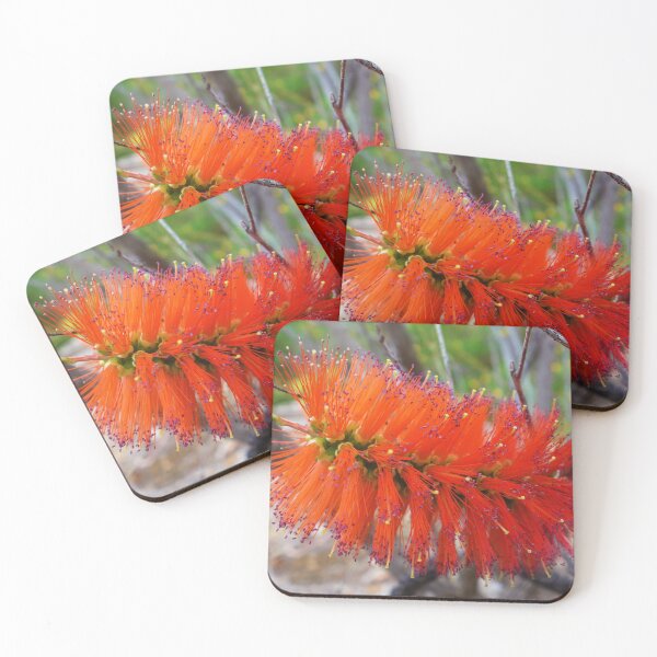 Item preview, Bottlebrush Flower by Cherished Lights designed and sold by CherishedLights.