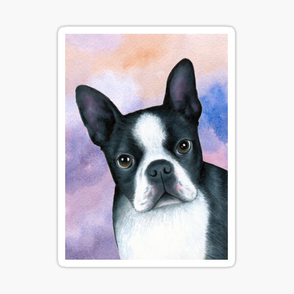 Dog 128 Boston Terrier Sticker