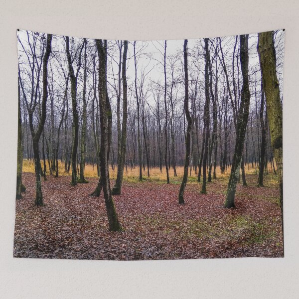 Item preview, Forest Trees designed and sold by Garlawach.