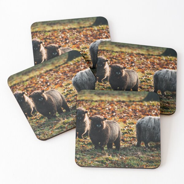 Item preview, Sheep in sun designed and sold by Fionamp.