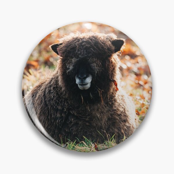 Item preview, Sunshine on sheep  designed and sold by Fionamp.
