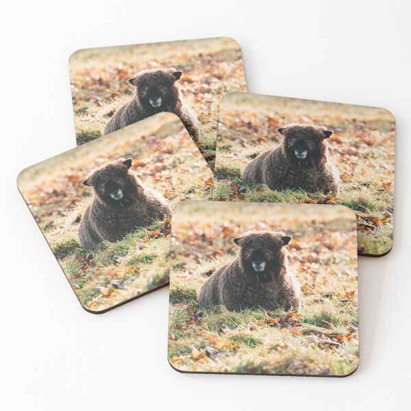 Item preview, Sunshine on sheep  designed and sold by Fionamp.