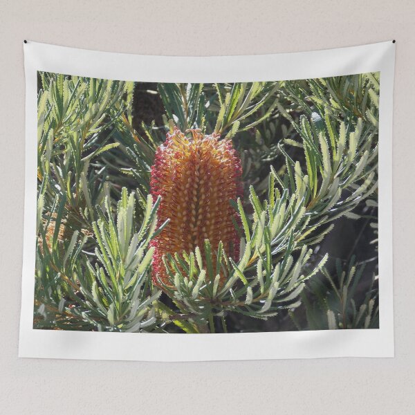 Item preview, Banksia  designed and sold by Naomi80.