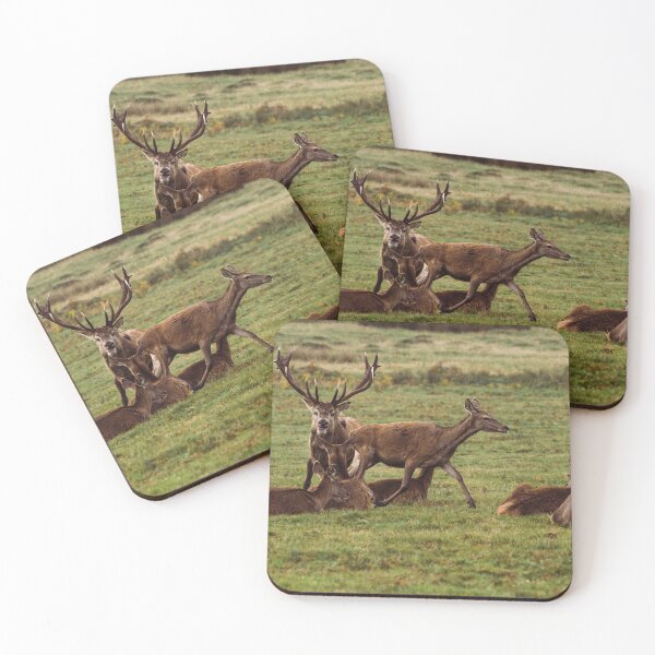 Item preview, Deer Chase designed and sold by Fionamp.