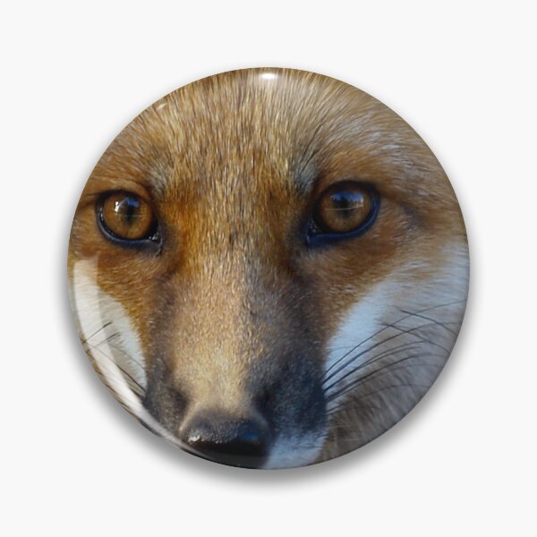 Item preview, I just really like foxes 1 designed and sold by kyds.