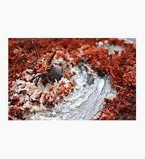 Breaking Through Photographic Print