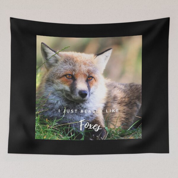 Item preview, I just really like foxes collection 9 designed and sold by kyds.