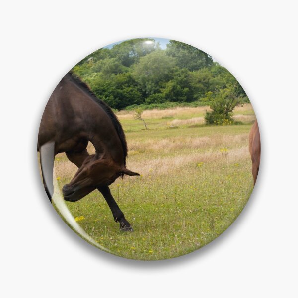 Item preview, Pasture designed and sold by RJDowns.