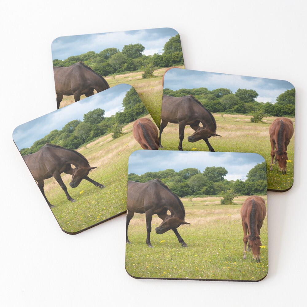 Item preview, Coasters (Set of 4) designed and sold by RJDowns.