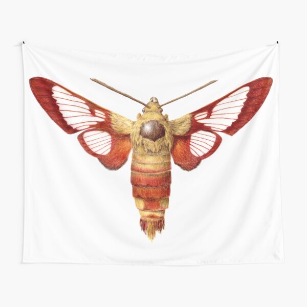 Hummingbird Clearwing Moth Tapestry
