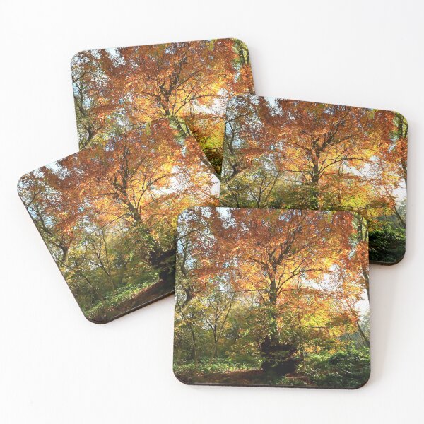 Item preview, Autumnal light designed and sold by annalisa56.