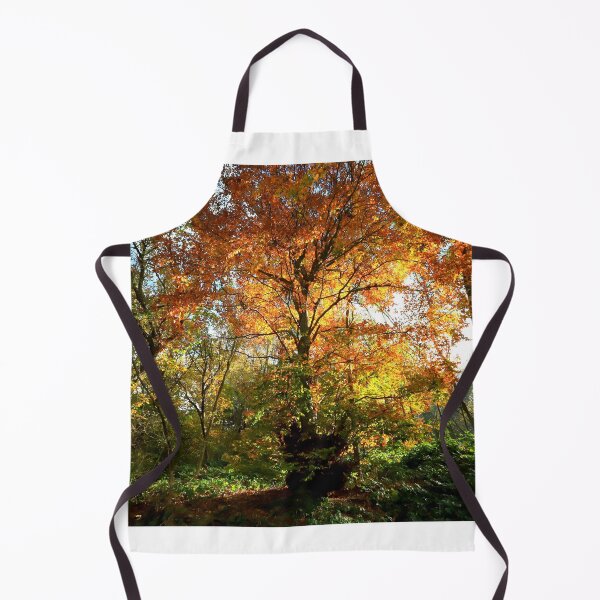 Item preview, Autumnal light designed and sold by annalisa56.
