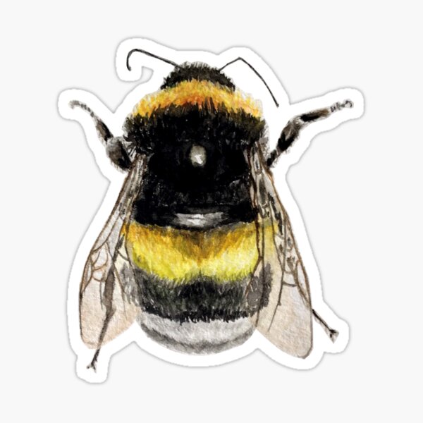 Item preview, Bumble Bee Watercolour designed and sold by Erboosney.