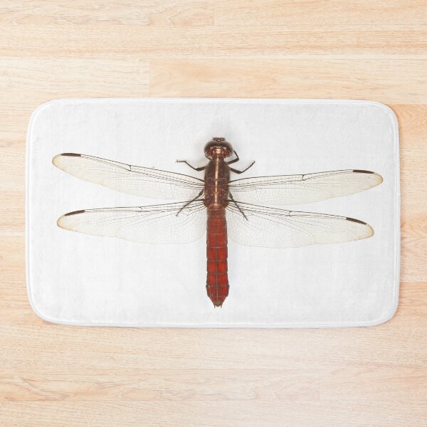 Item preview, Red Dragonfly designed and sold by Warren  Photographic.