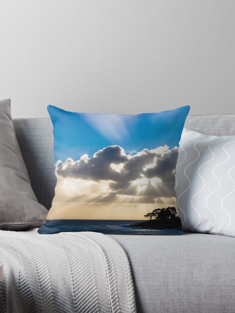 Item preview, Throw Pillow designed and sold by littleoldhag.