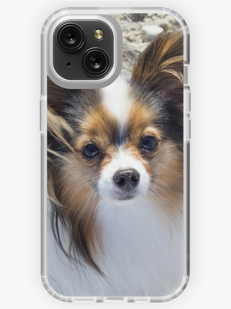 Papillon dog at the beach iPhone Case by Papillondream