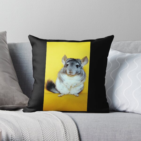 Chinchilla pillow 2024