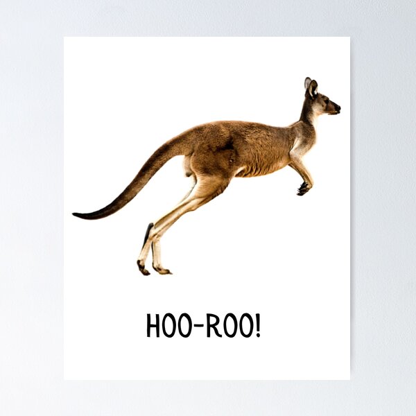 Item preview, ¡Hola! Canguro. designed and sold by JellyBeenzz.