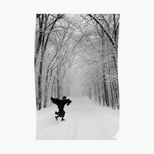 Black Crow Poster