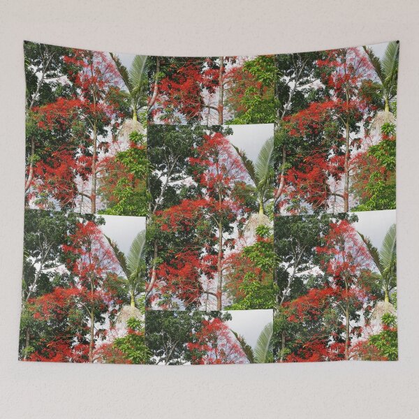Item preview, Nature's Own, Christmas Time ~ Illawarra flame tree (Brachychiton acerifolius) FNQ designed and sold by Kerryn Madsen-Pietsch.