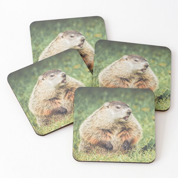 Item preview, Groundhog sitting in grass with mouth open in vintage garden setting designed and sold by Rabbitti.