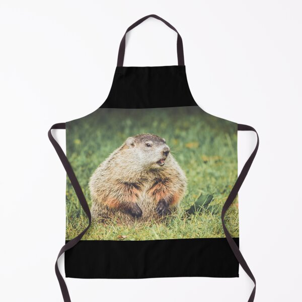 Item preview, Groundhog sitting in grass with mouth open in vintage garden setting designed and sold by Rabbitti.
