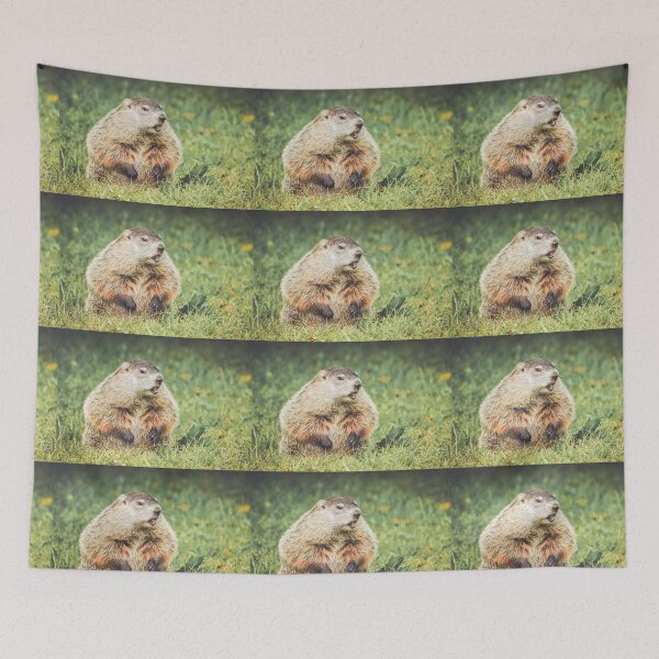 Item preview, Groundhog sitting in grass with mouth open in vintage garden setting designed and sold by Rabbitti.