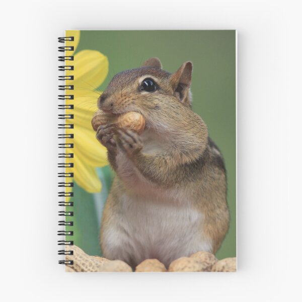 Item preview, Chipmunk eating peanut next to sunflower designed and sold by Rabbitti.