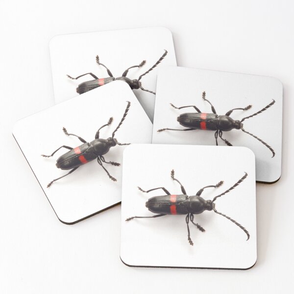 Item preview, Tropical Longhorn Beetle designed and sold by Warren  Photographic.