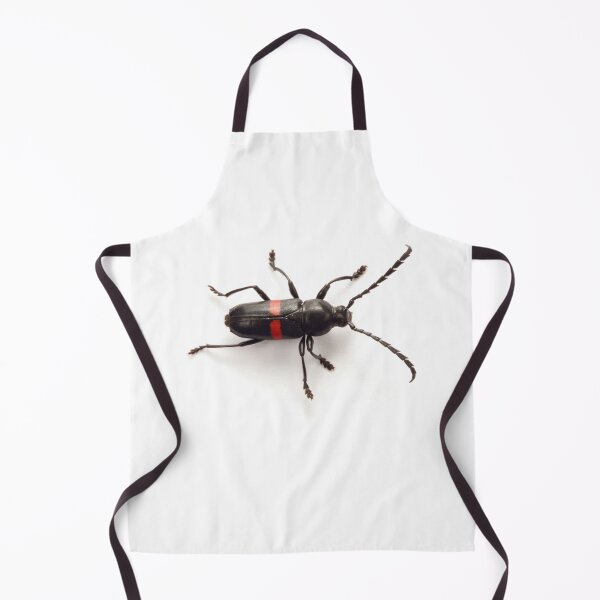Item preview, Tropical Longhorn Beetle designed and sold by Warren Photographic.