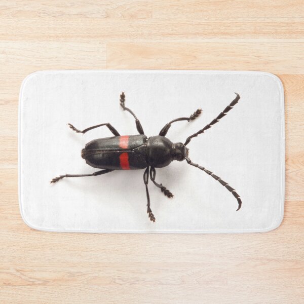 Item preview, Tropical Longhorn Beetle designed and sold by Warren  Photographic.