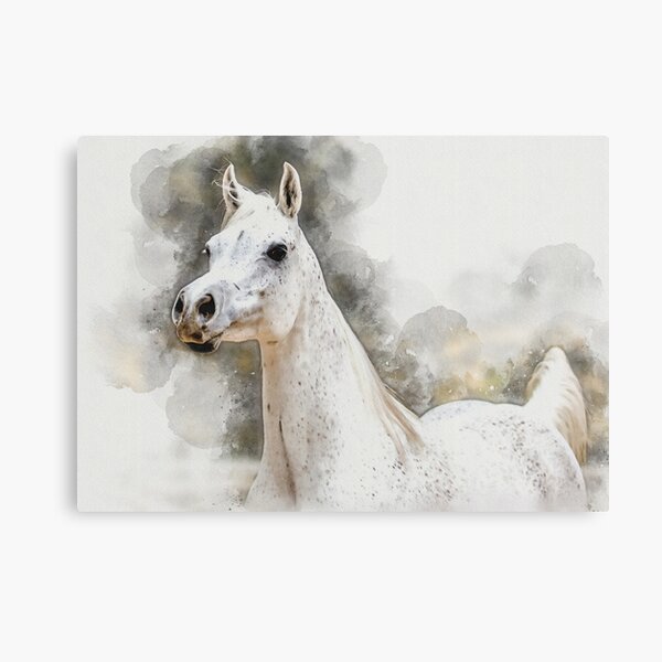 The Aquarelle Selection: Serenity Metal Print