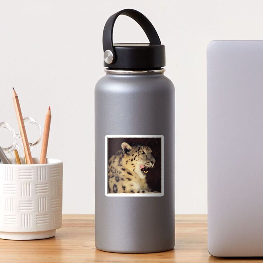snow leopard Sticker