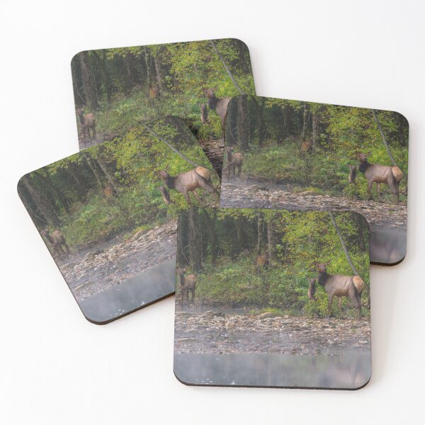 Item preview, Ladies Morning Walk Along Buffalo National River designed and sold by mljdwhite.