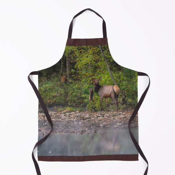 Item preview, Ladies Morning Walk Along Buffalo National River designed and sold by mljdwhite.