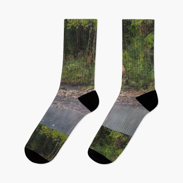 Item preview, Ladies Morning Walk Along Buffalo National River designed and sold by mljdwhite.