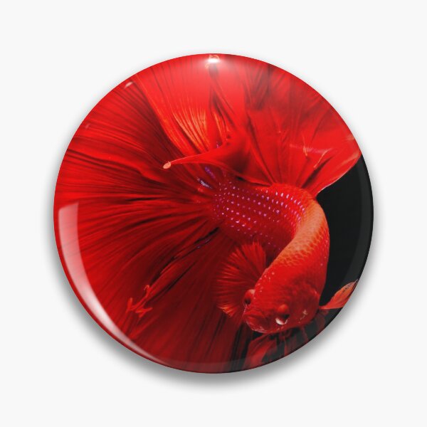 Item preview, Orange fighting Fish clock designed and sold by DisenyosDeMike.