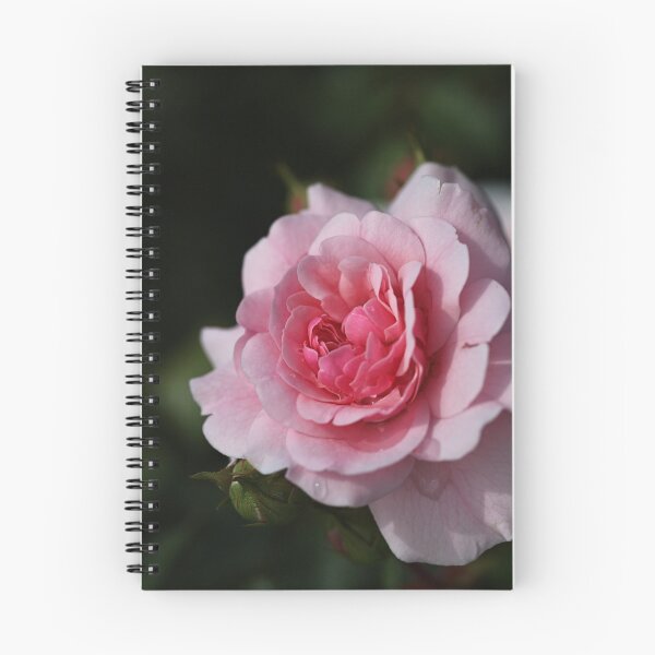 Item preview, Pink Shades Of Rose  designed and sold by Joy Watson - Natural Light Photography .