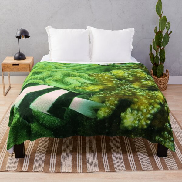 Item preview, Underwater Scene designed and sold by Belcibol.