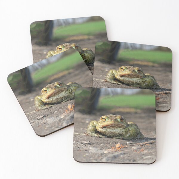 Item preview, Common toad designed and sold by NW-Photo-Art.