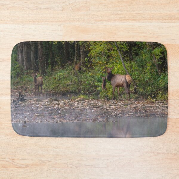 Item preview, Ladies Morning Walk Along Buffalo National River designed and sold by mljdwhite.