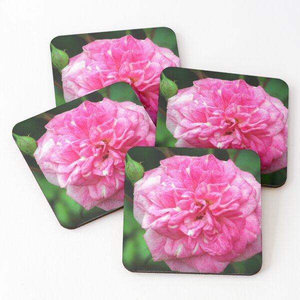 Item preview, Pink Delight designed and sold by Cynthia48.