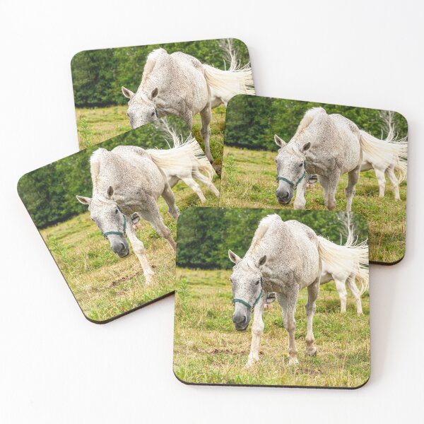 Item preview, Horse In Field designed and sold by Michael Cummings.