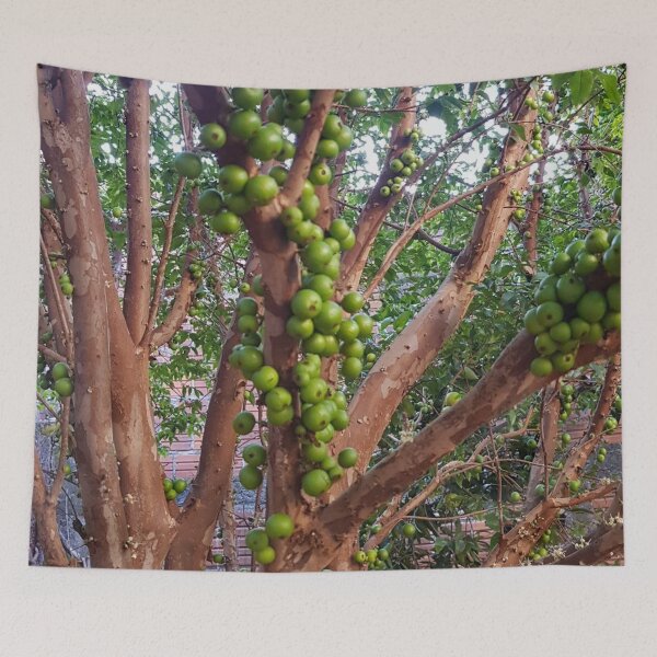 Item preview, Green Jabuticaba designed and sold by praupp.