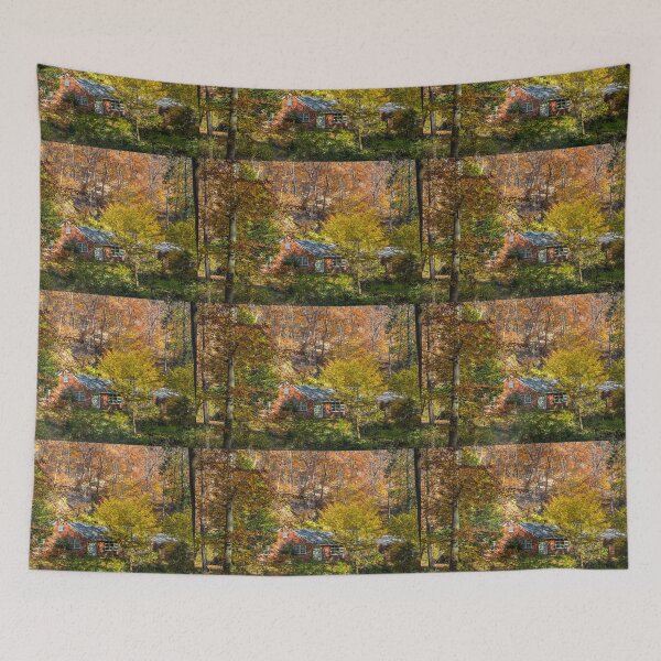 Item preview, USA. Pennsylvania. Autumn. Ranch-style House. designed and sold by vadim19.